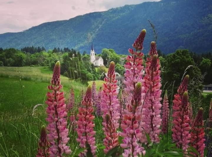 Gasthaus Zum Fuchs - Familie Andrae ヘルマゴル エクステリア 写真